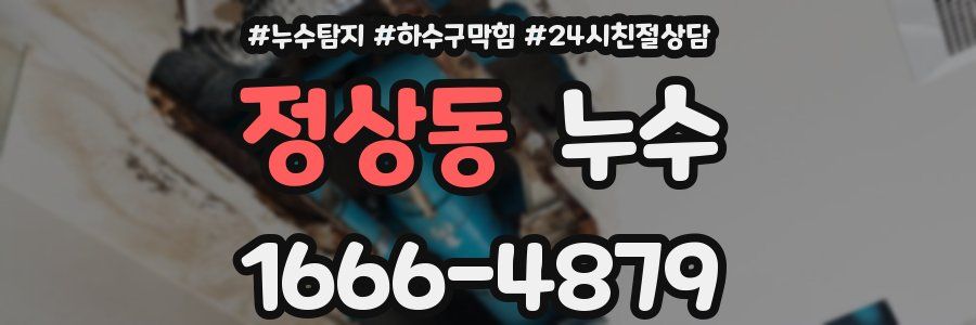 정상동 누수