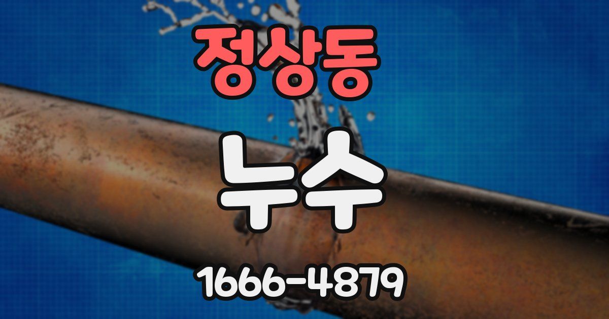 정상동 누수