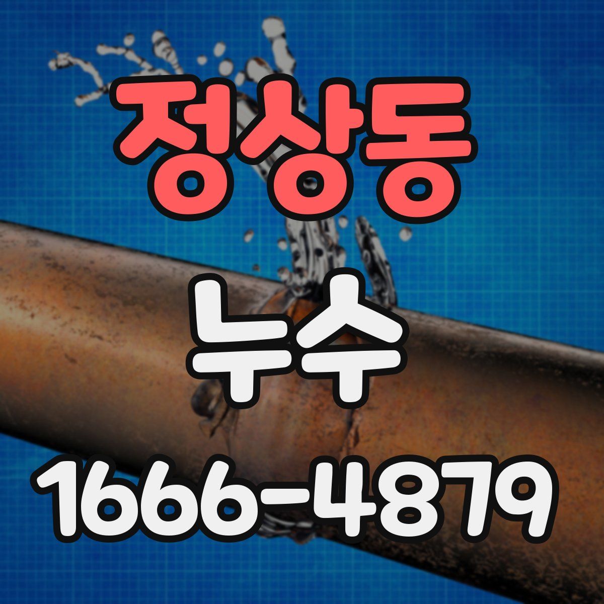 정상동 누수
