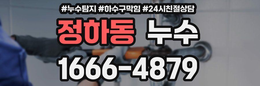 정하동 누수