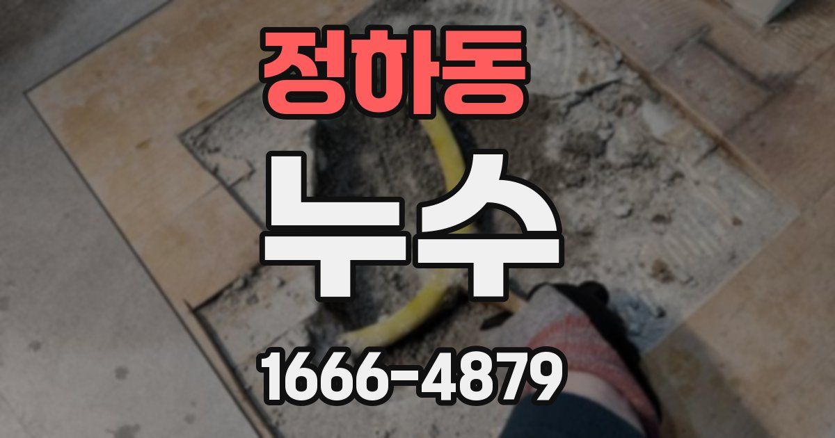 정하동 누수