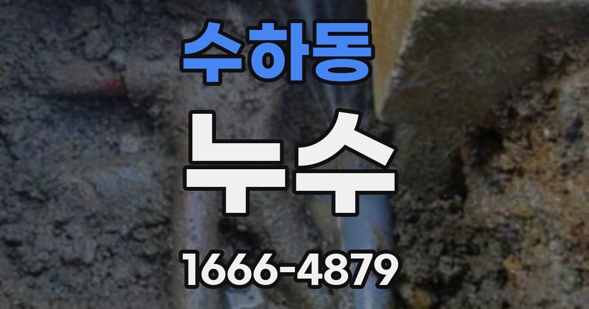 수하동 누수