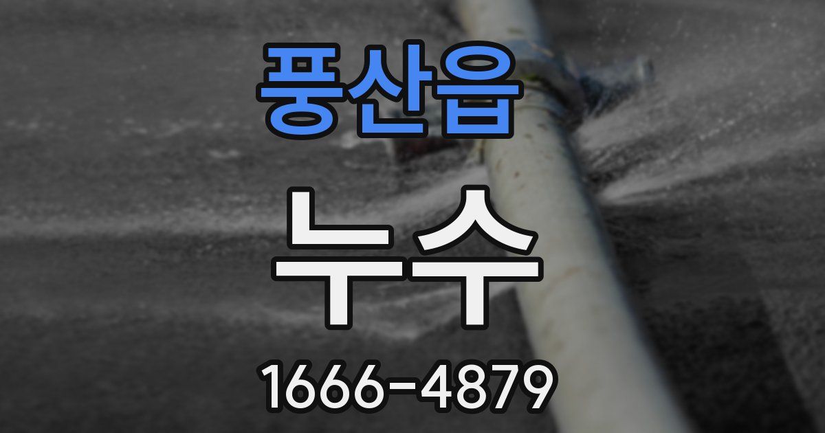풍산읍 누수