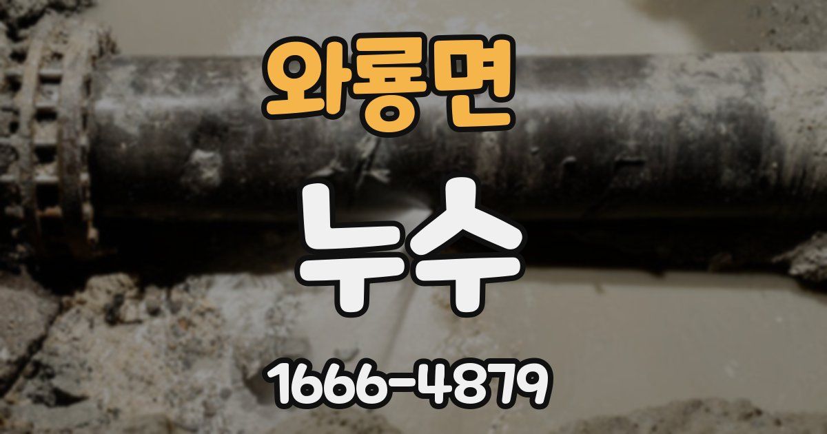 와룡면 누수