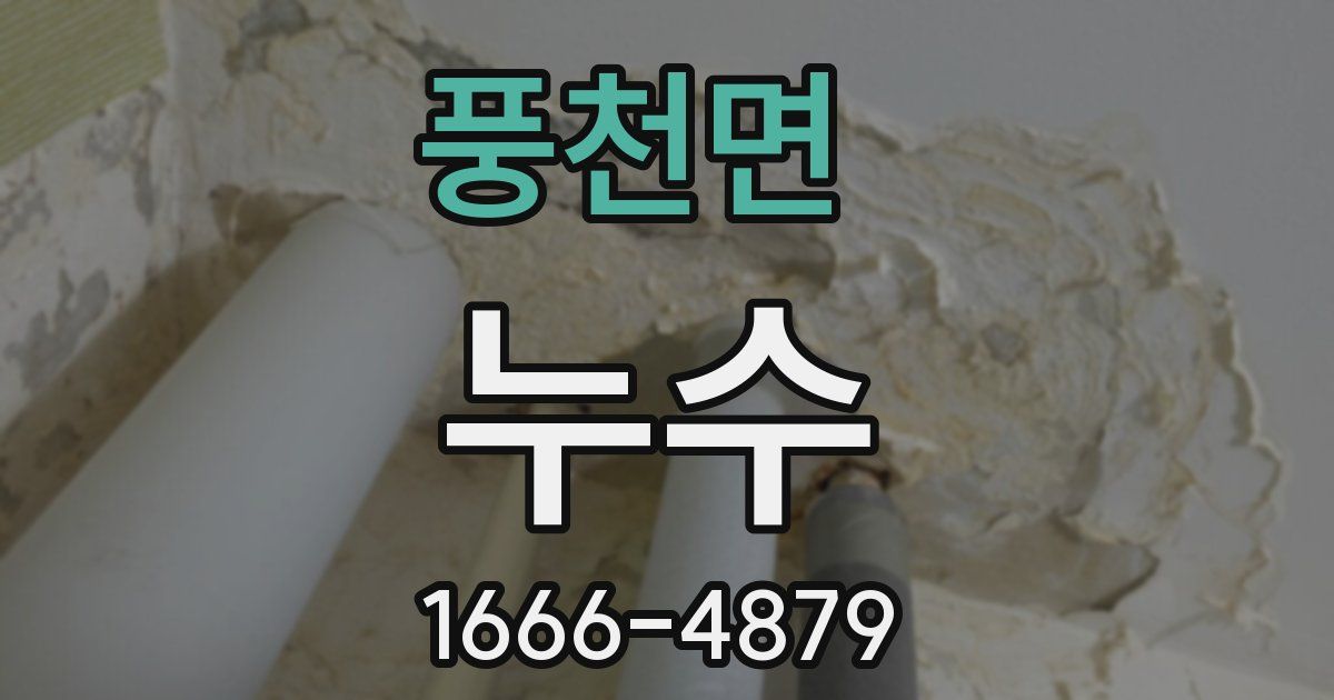 풍천면 누수