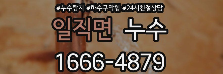 일직면 누수