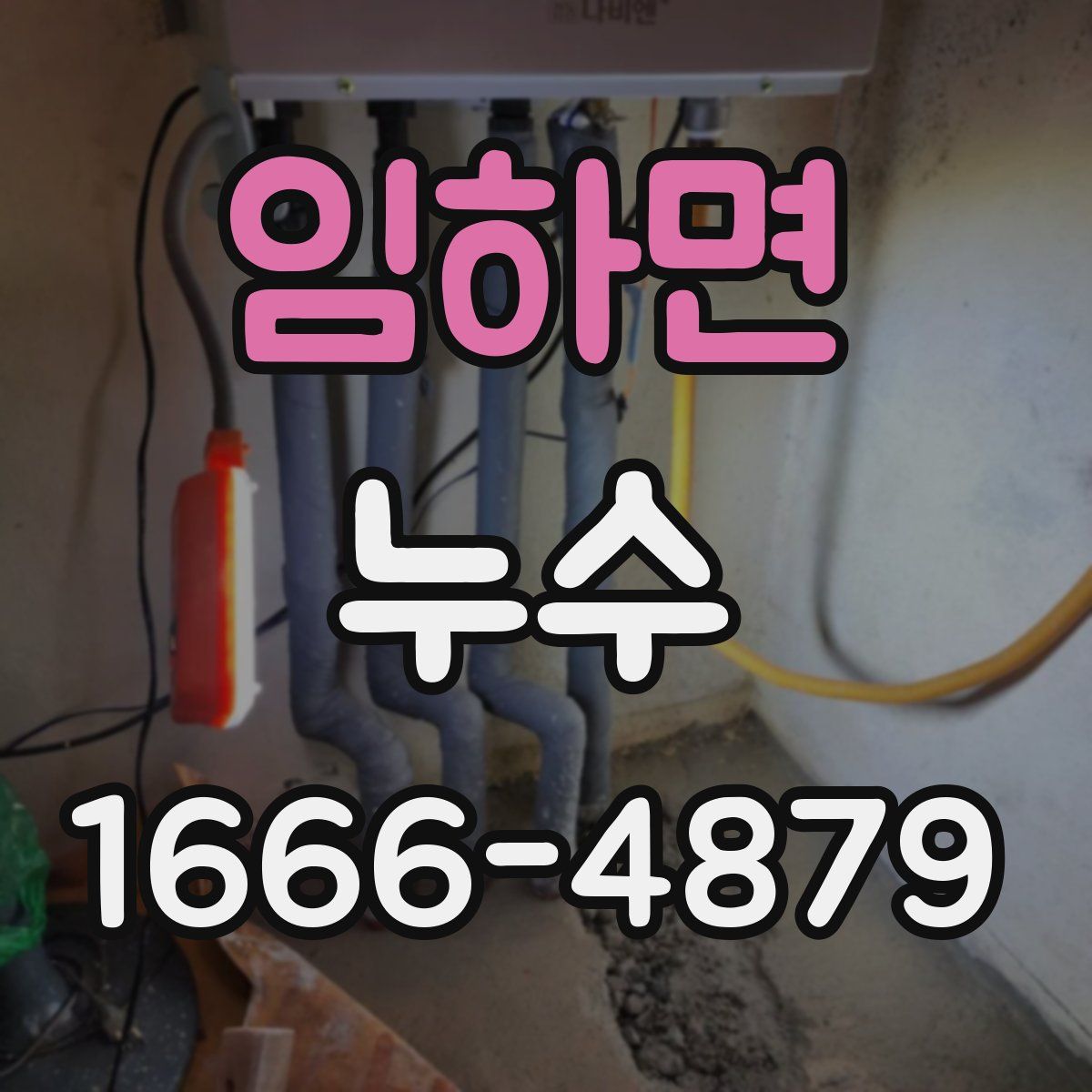 임하면 누수
