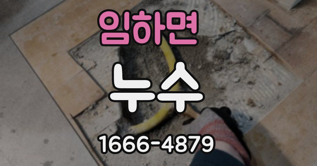 임하면 누수