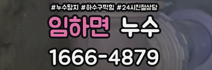 임하면 누수