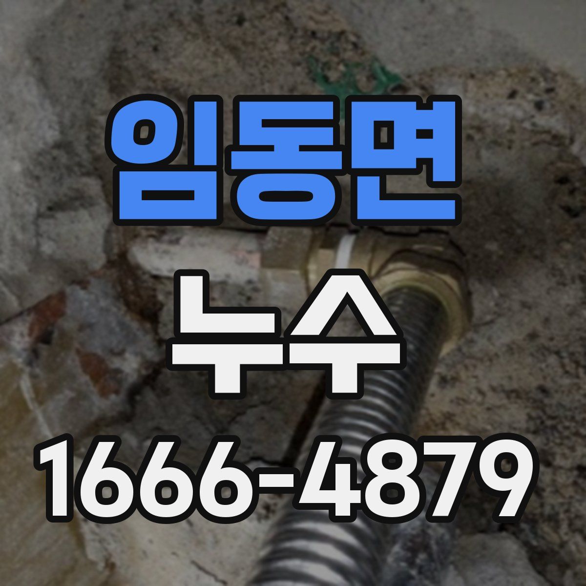임동면 누수