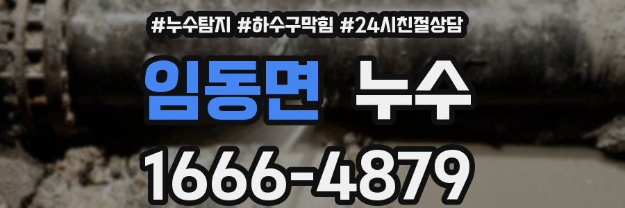 임동면 누수