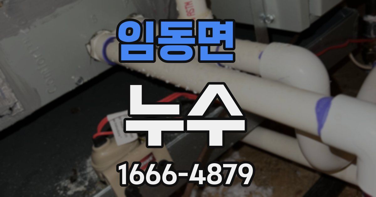 임동면 누수