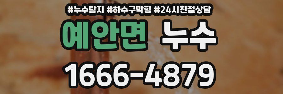 예안면 누수