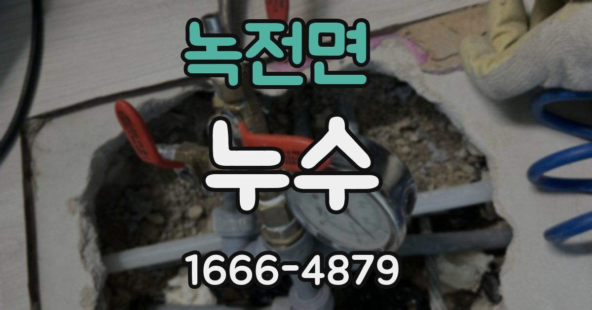 녹전면 누수