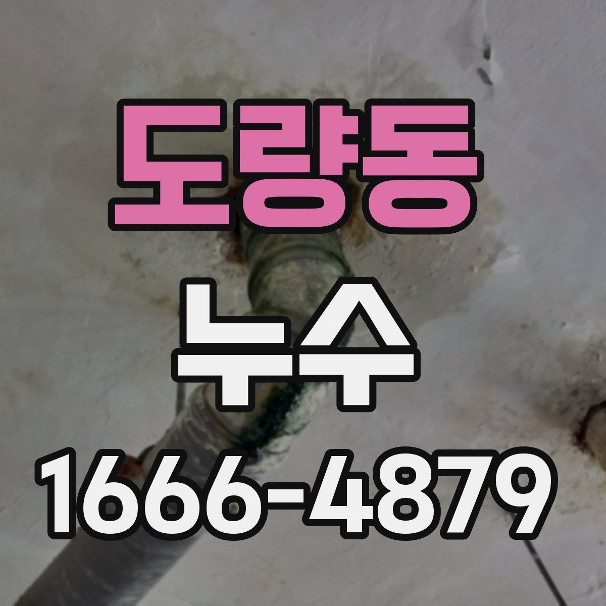 도량동 누수