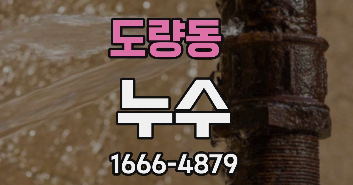 도량동 누수