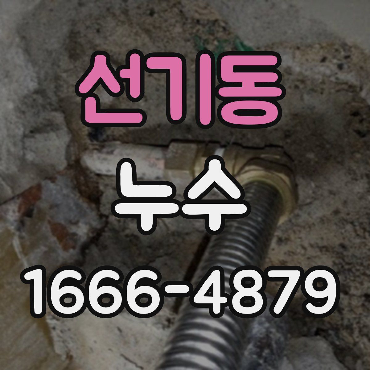 선기동 누수