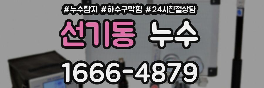 선기동 누수