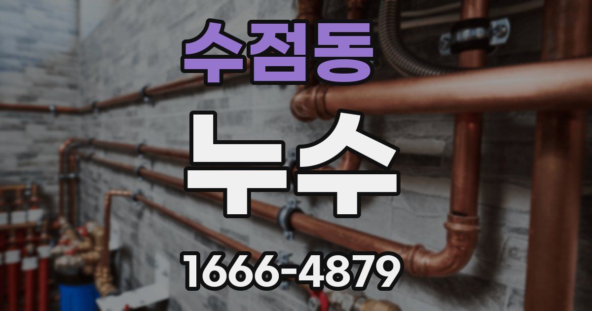 수점동 누수