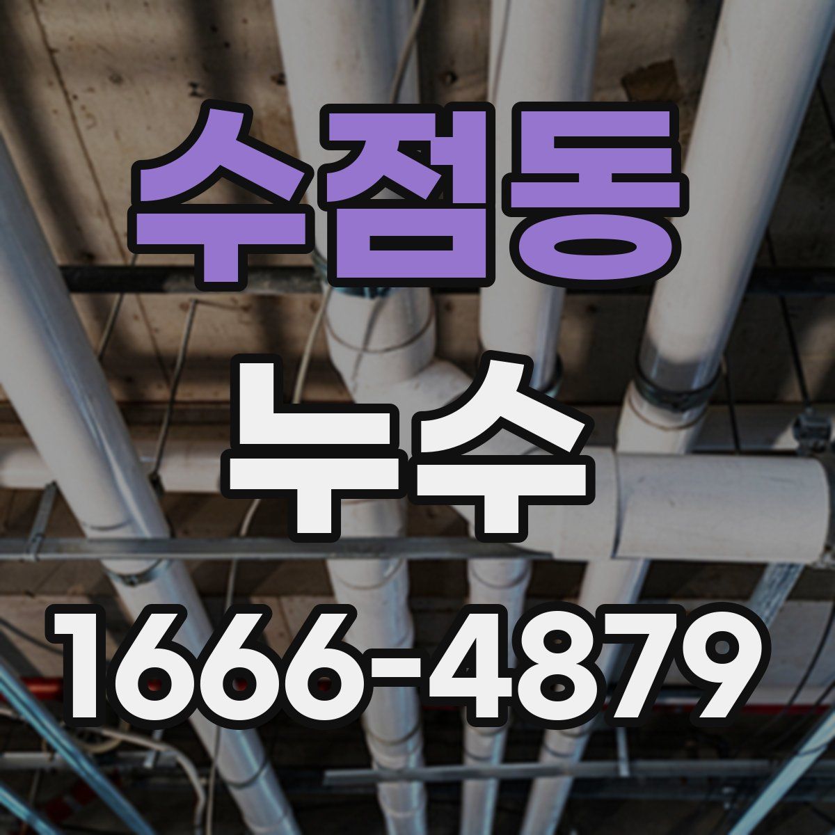 수점동 누수