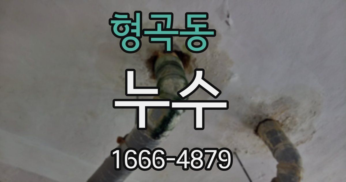 형곡동 누수