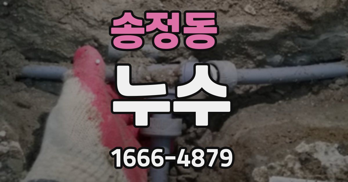 송정동 누수