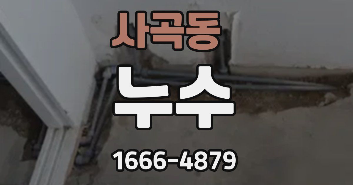 사곡동 누수
