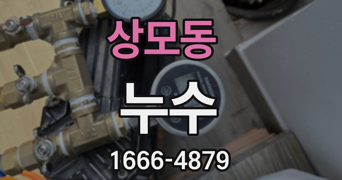 상모동 누수