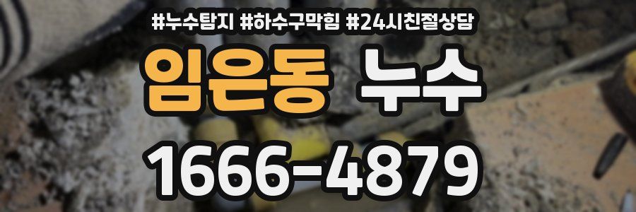 임은동 누수