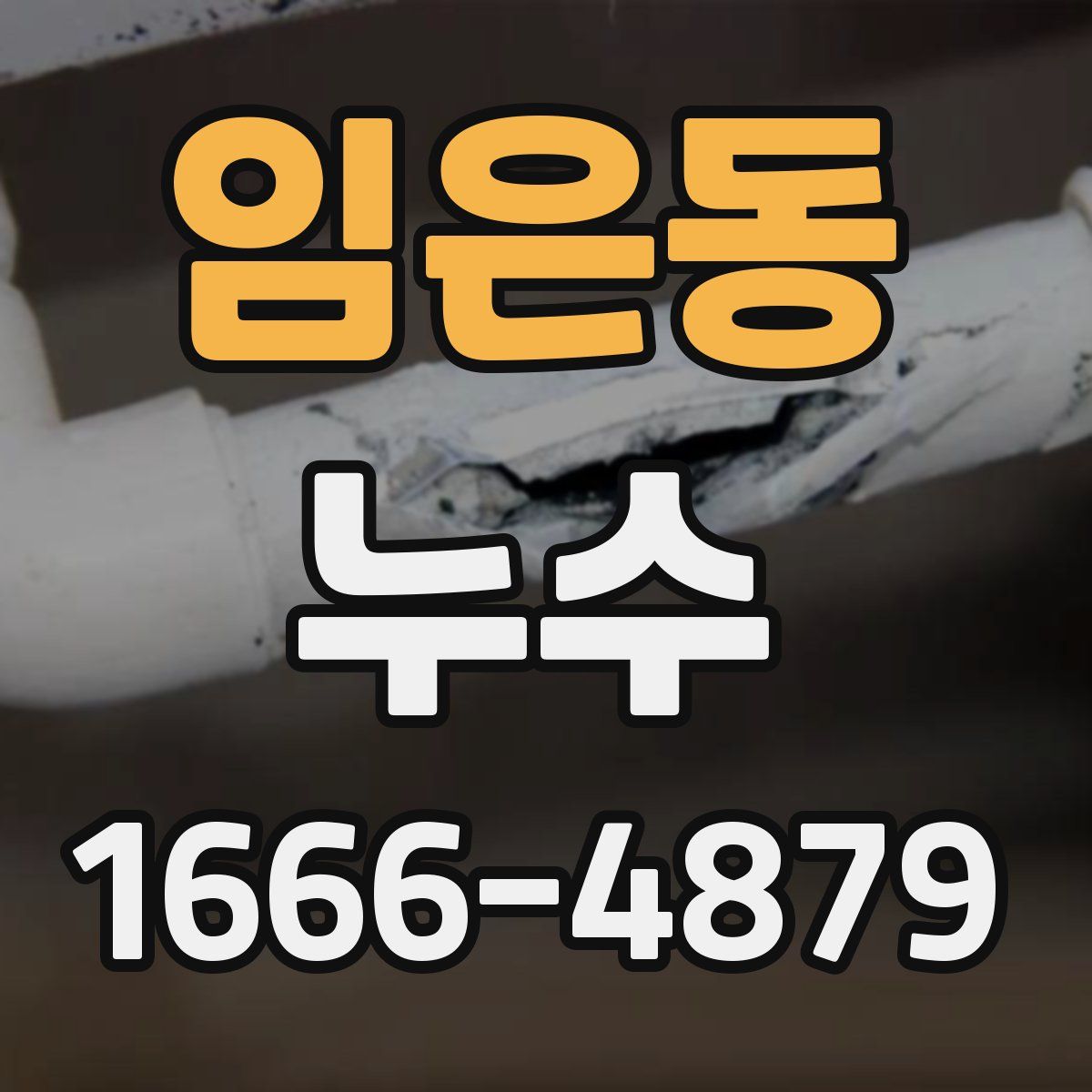임은동 누수