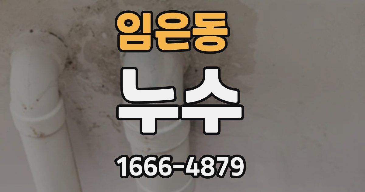 임은동 누수
