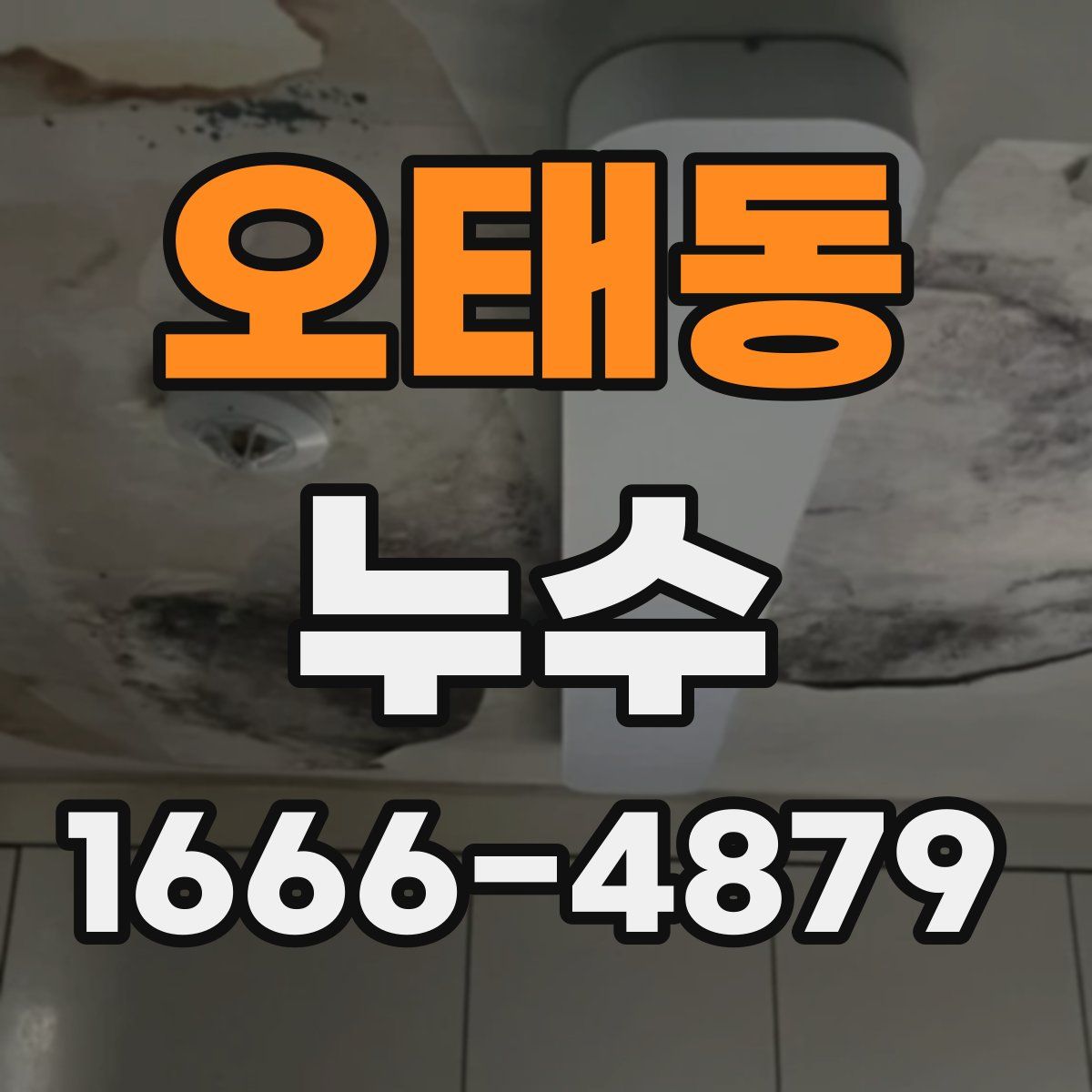 오태동 누수