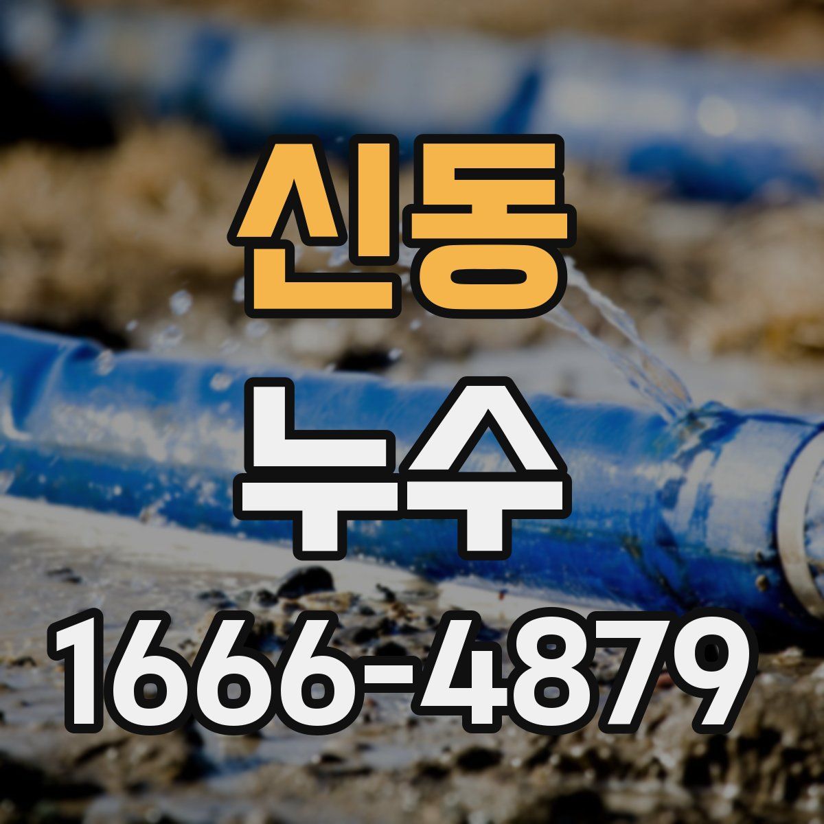 신동 누수