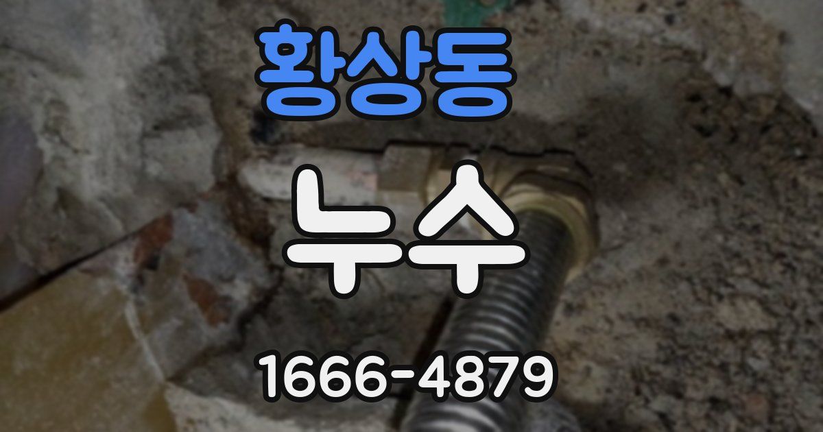 황상동 누수