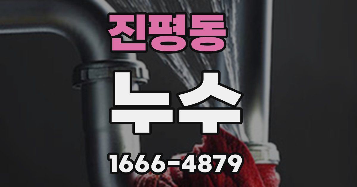 진평동 누수