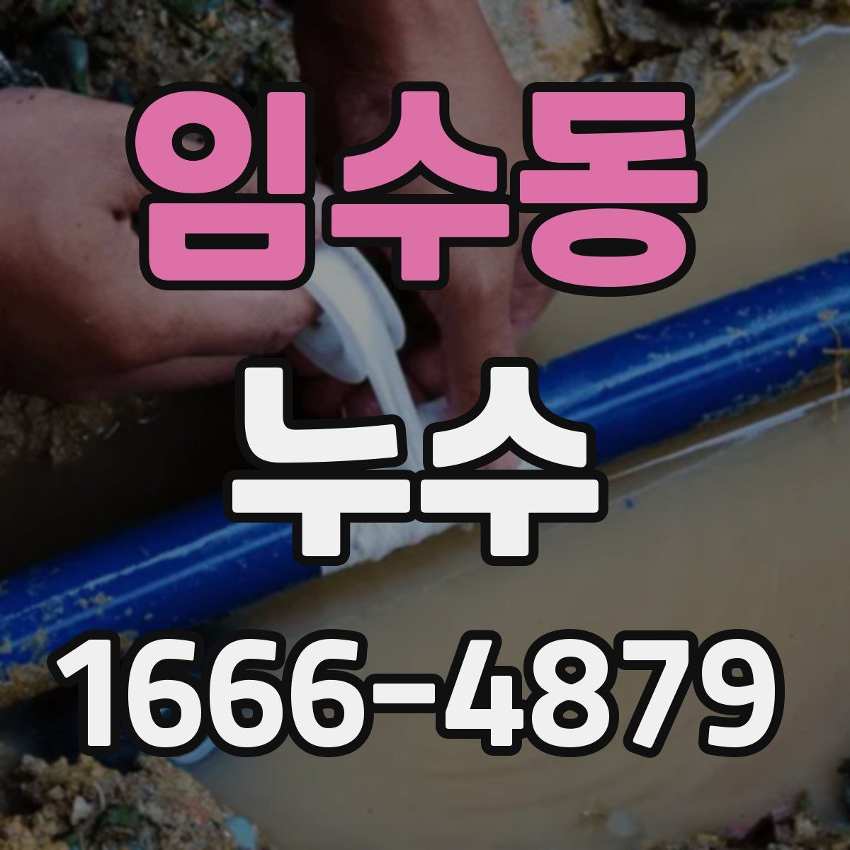 임수동 누수