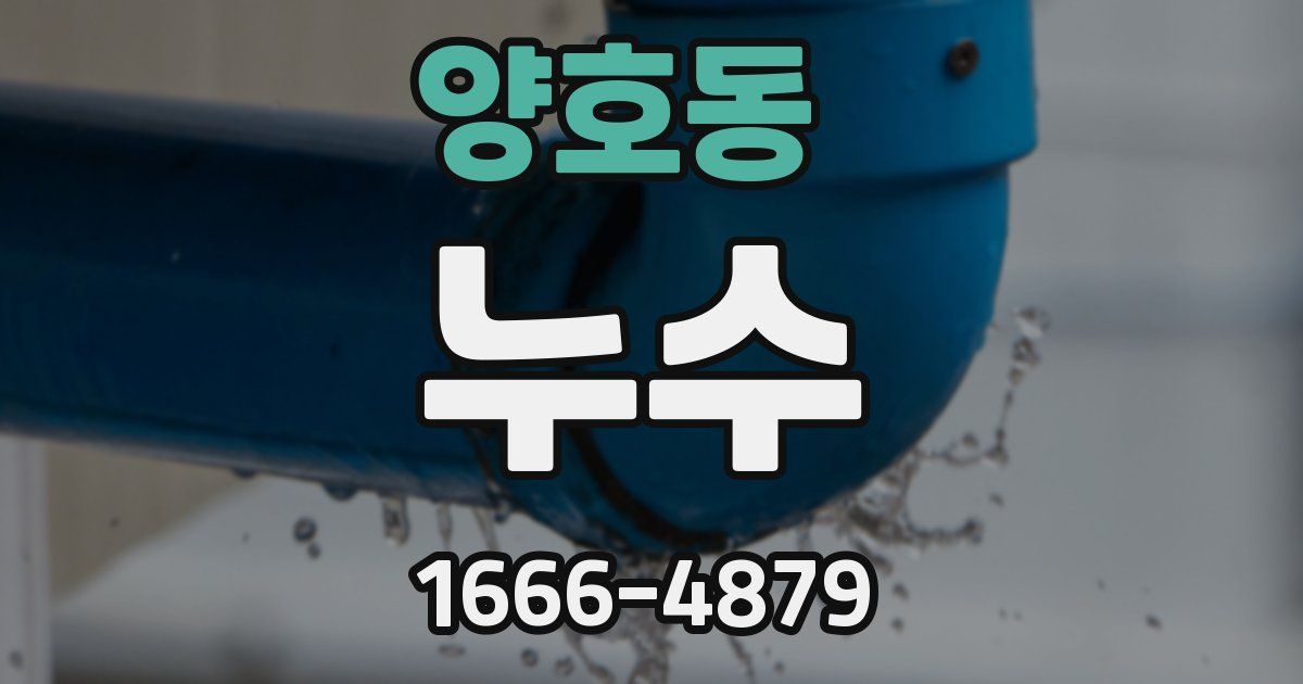 양호동 누수