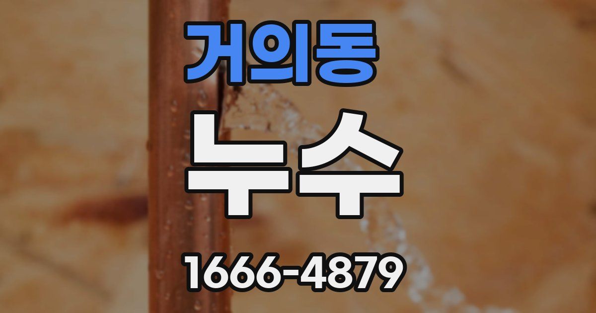 거의동 누수