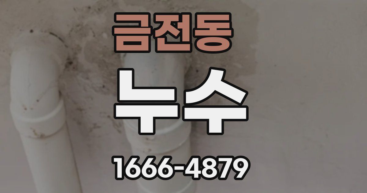 금전동 누수
