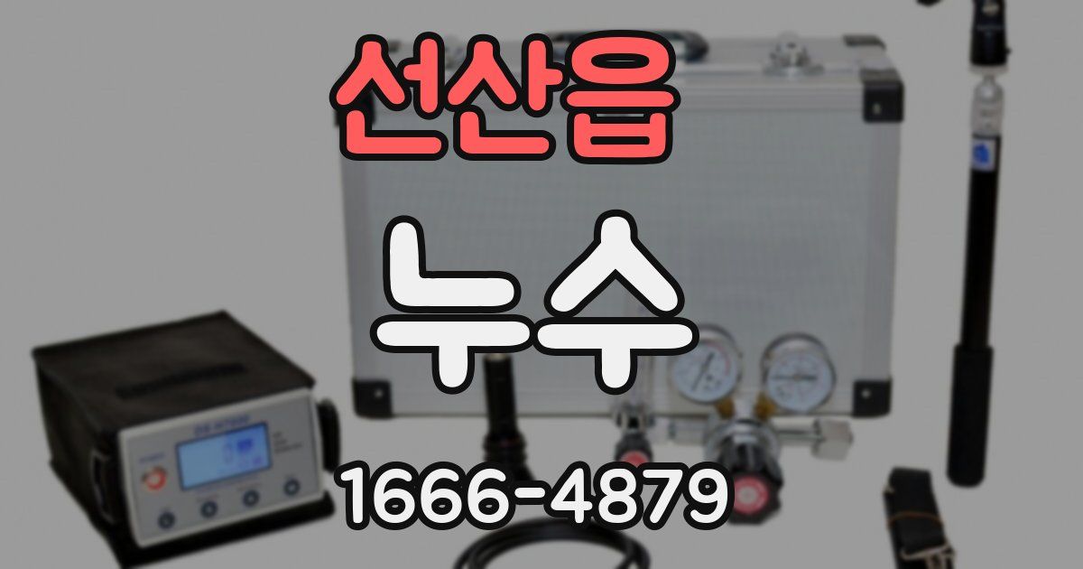 선산읍 누수