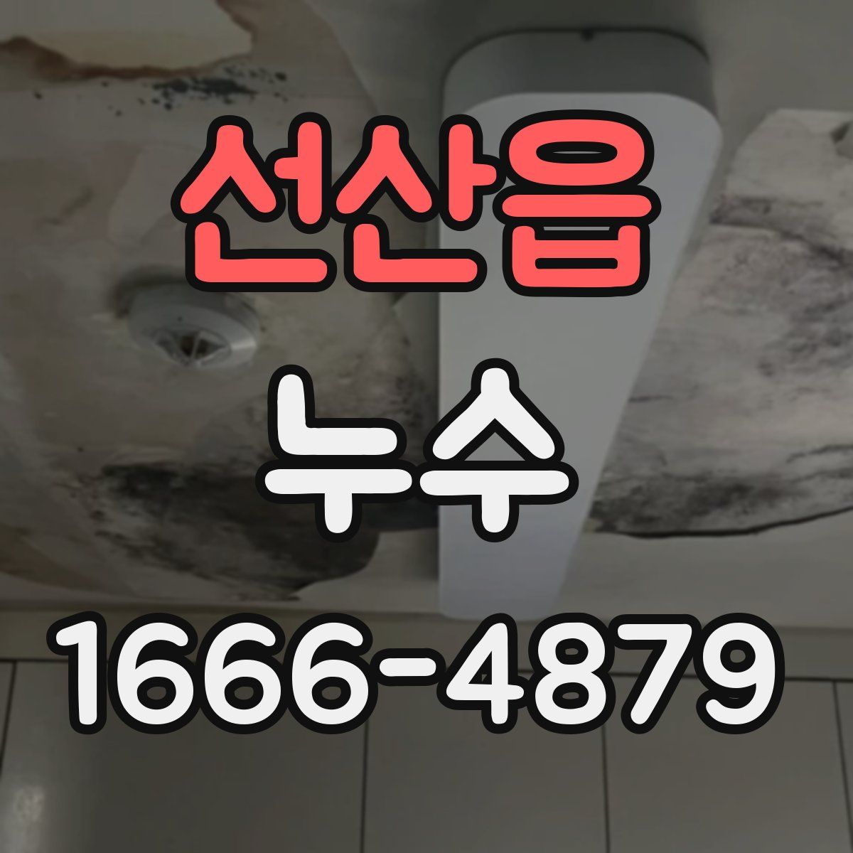 선산읍 누수