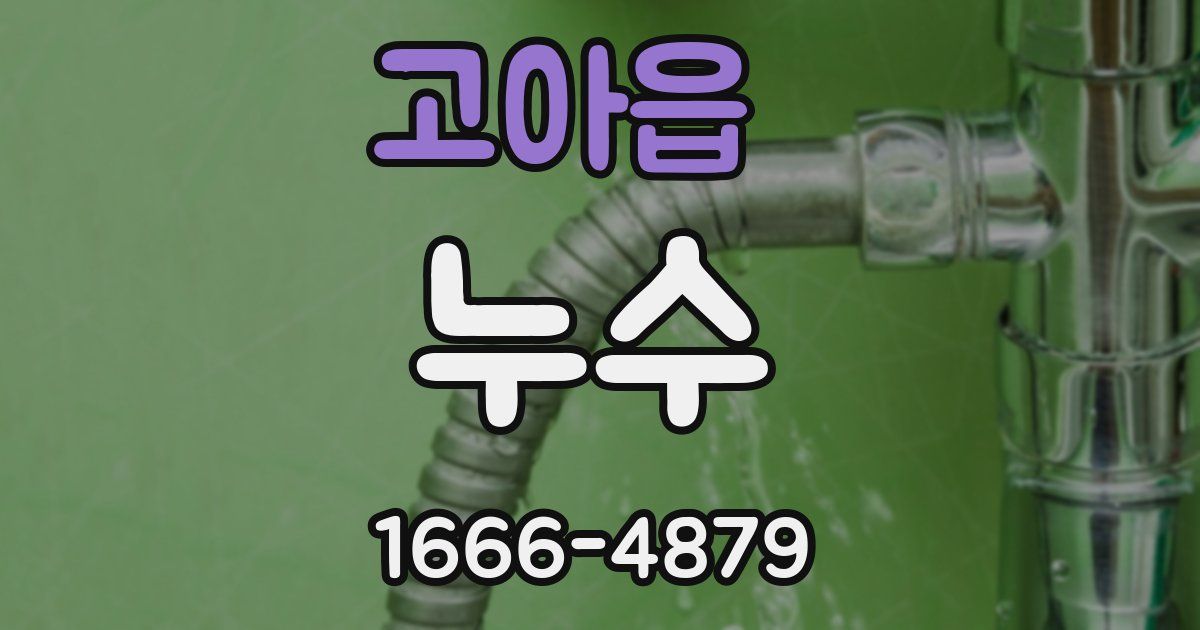 고아읍 누수