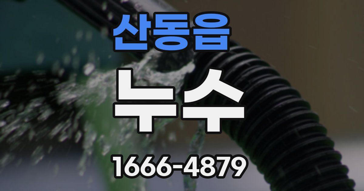 산동읍 누수