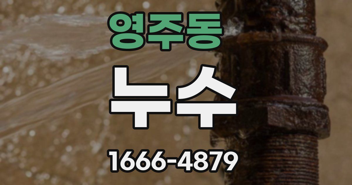 영주동 누수
