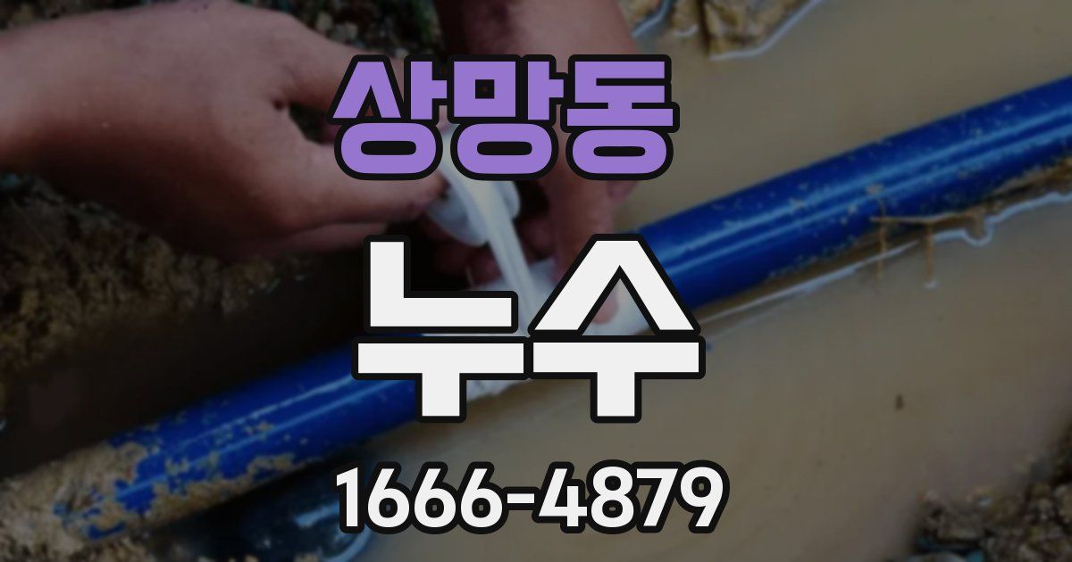 상망동 누수