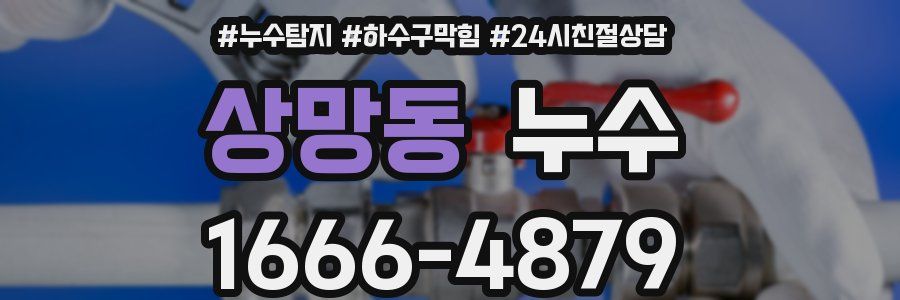 상망동 누수