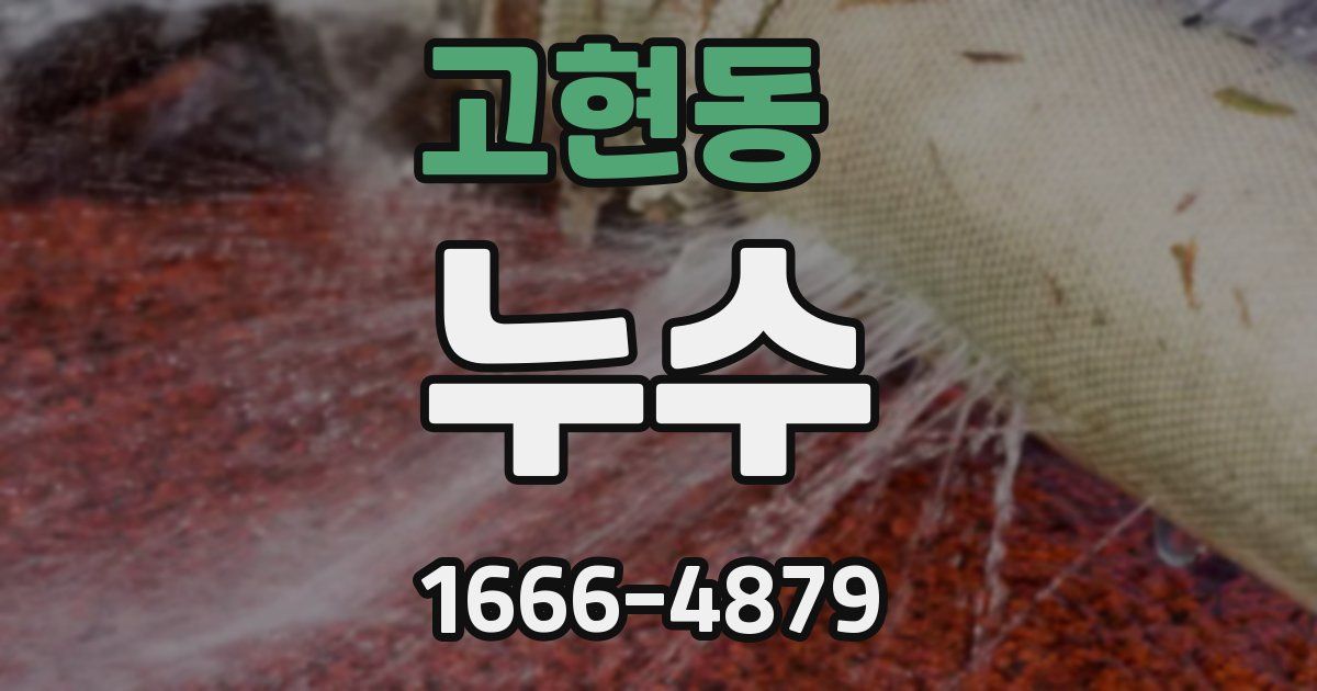 고현동 누수