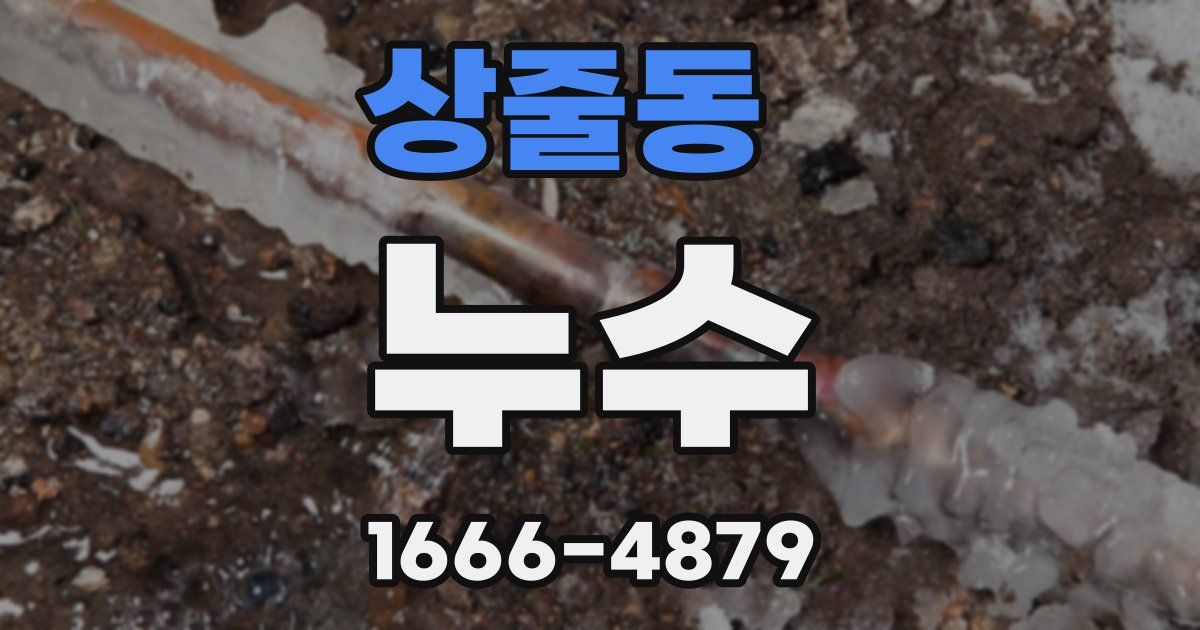 상줄동 누수