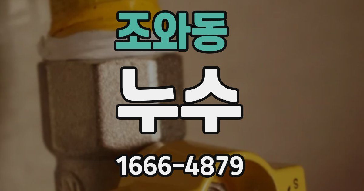 조와동 누수