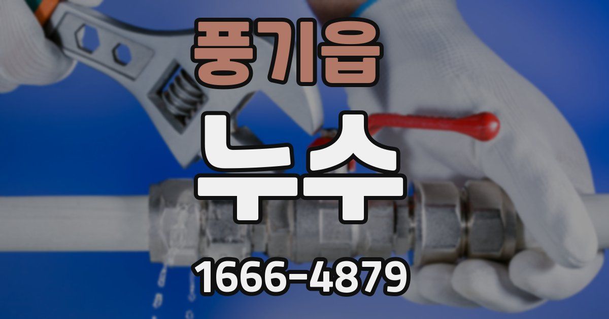 풍기읍 누수